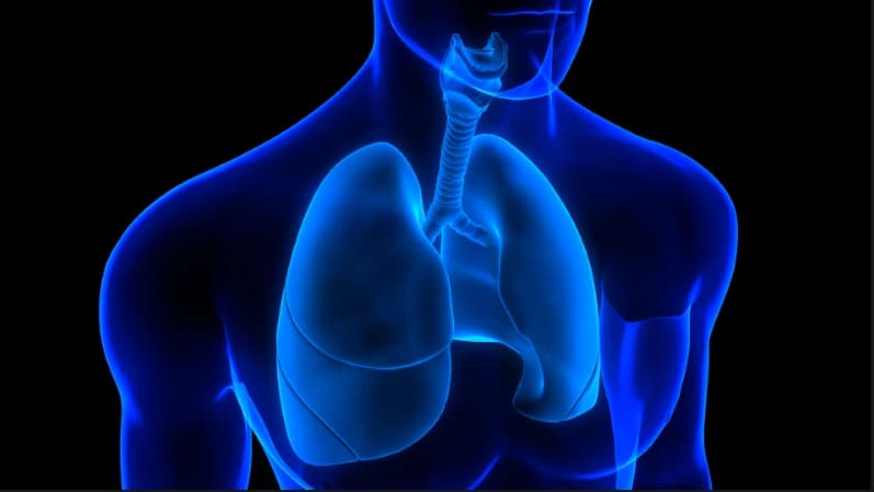 A Respiratory Therapist’s Guide to Mechanical Insufflation-Exsufflation Image