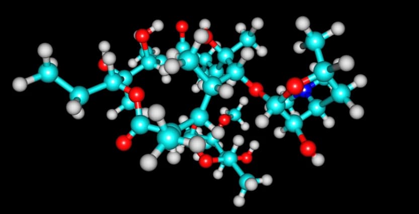 The Role of Ghrelin in Obesity and Its Impact on Obstructive Sleep Apnea (OSA) Image