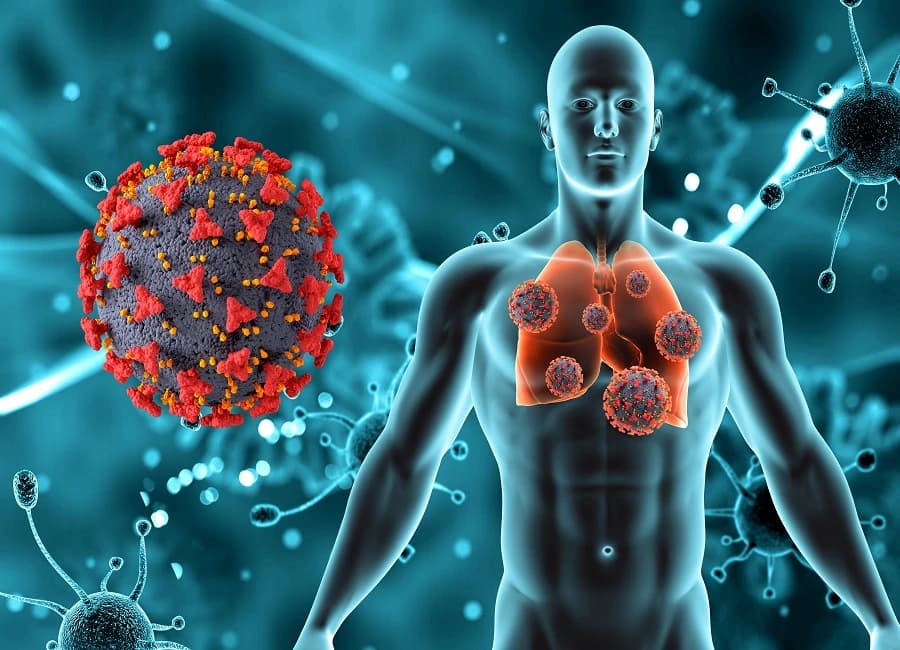 Pulmonary Fibrosis – Symptoms, Causes, Stages, and Treatment Image