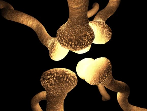 Research Summary: Baroreflex Impairment in Hypertensive OSA Patients Image
