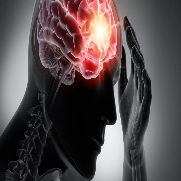 BRAIN INJURY EFFECTS ON THE RESPIRATORY SYSTEM Image