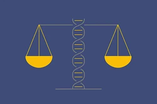 Oxygen Therapy - Respiratory Service