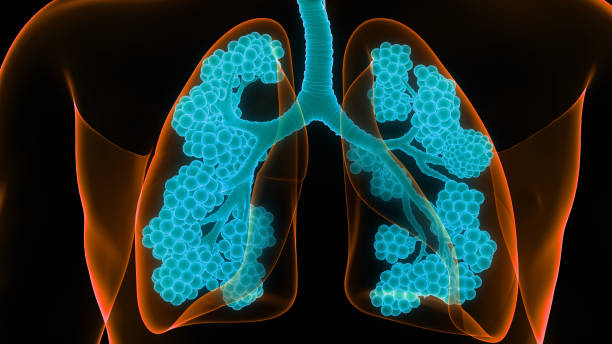 Respiratory Live CEUs: Webinar Education for Therapists